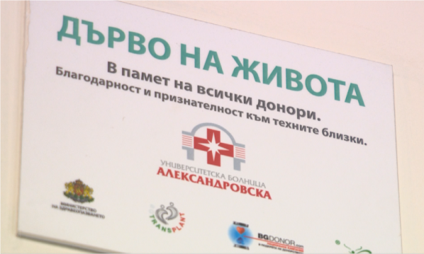 Основна снимка на страницата